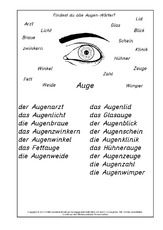 Augen-Wörter-Lösung.pdf